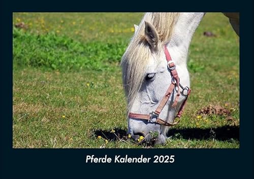 Pferde Kalender 2025 Fotokalender DIN A4: Monatskalender mit Bild-Motiven von Haustieren, Bauernhof, wilden Tieren und Raubtieren Pferde Kalender 2025 Fotokalender DIN A4: Monatskalender mit Bild-Motiven von Haustieren, Bauernhof, wilden Tieren und Raubtieren