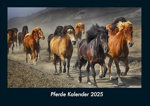 Pferde Kalender 2025 Fotokalender DIN A4: Monatskalender mit Bild-Motiven von Haustieren, Bauernhof, wilden Tieren und Raubtieren Pferde Kalender 2025 Fotokalender DIN A4: Monatskalender mit Bild-Motiven von Haustieren, Bauernhof, wilden Tieren und Raubtieren