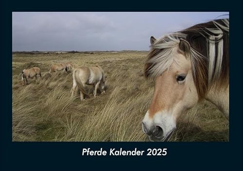 Pferde Kalender 2025 Fotokalender DIN A4: Monatskalender mit Bild-Motiven von Haustieren, Bauernhof, wilden Tieren und Raubtieren Pferde Kalender 2025 Fotokalender DIN A4: Monatskalender mit Bild-Motiven von Haustieren, Bauernhof, wilden Tieren und Raubtieren