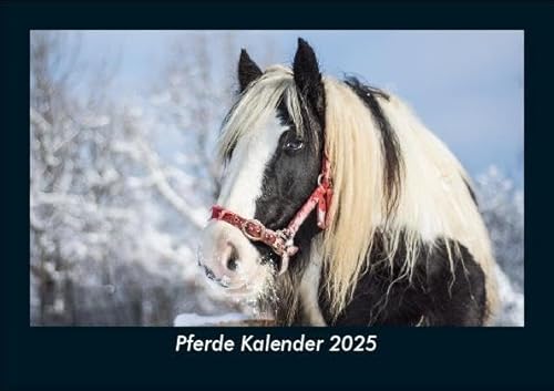 Pferde Kalender 2025 Fotokalender DIN A5: Monatskalender mit Bild-Motiven von Haustieren, Bauernhof, wilden Tieren und Raubtieren Pferde Kalender 2025 Fotokalender DIN A5: Monatskalender mit Bild-Motiven von Haustieren, Bauernhof, wilden Tieren und Raubtieren