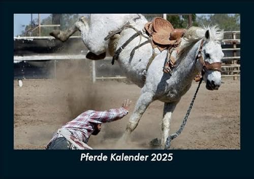 Pferde Kalender 2025 Fotokalender DIN A5: Monatskalender mit Bild-Motiven von Haustieren, Bauernhof, wilden Tieren und Raubtieren Pferde Kalender 2025 Fotokalender DIN A5: Monatskalender mit Bild-Motiven von Haustieren, Bauernhof, wilden Tieren und Raubtieren