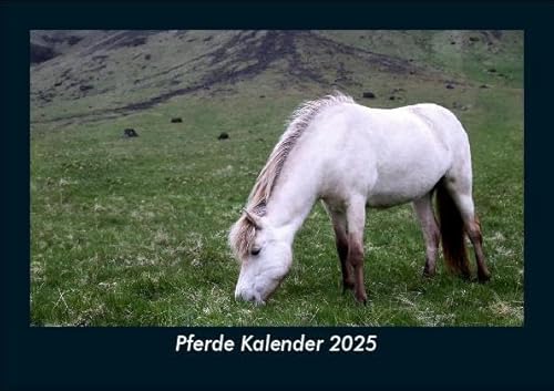 Pferde Kalender 2025 Fotokalender DIN A5: Monatskalender mit Bild-Motiven von Haustieren, Bauernhof, wilden Tieren und Raubtieren Pferde Kalender 2025 Fotokalender DIN A5: Monatskalender mit Bild-Motiven von Haustieren, Bauernhof, wilden Tieren und Raubtieren