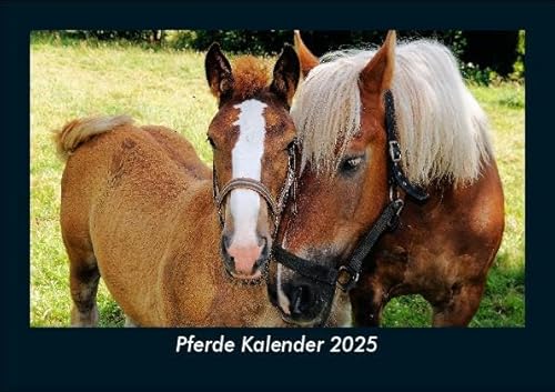 Pferde Kalender 2025 Fotokalender DIN A5: Monatskalender mit Bild-Motiven von Haustieren, Bauernhof, wilden Tieren und Raubtieren Pferde Kalender 2025 Fotokalender DIN A5: Monatskalender mit Bild-Motiven von Haustieren, Bauernhof, wilden Tieren und Raubtieren