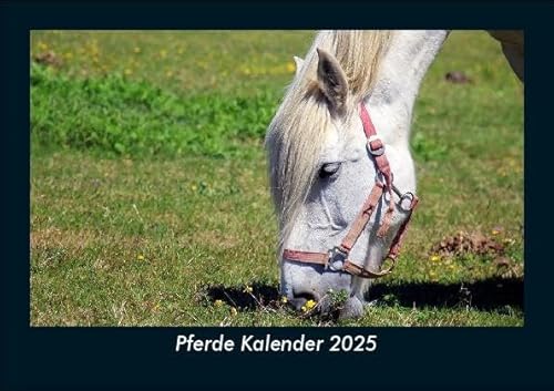 Pferde Kalender 2025 Fotokalender DIN A5: Monatskalender mit Bild-Motiven von Haustieren, Bauernhof, wilden Tieren und Raubtieren Pferde Kalender 2025 Fotokalender DIN A5: Monatskalender mit Bild-Motiven von Haustieren, Bauernhof, wilden Tieren und Raubtieren