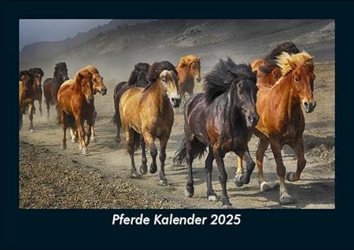Pferde Kalender 2025 Fotokalender DIN A5: Monatskalender mit Bild-Motiven von Haustieren, Bauernhof, wilden Tieren und Raubtieren Pferde Kalender 2025 Fotokalender DIN A5: Monatskalender mit Bild-Motiven von Haustieren, Bauernhof, wilden Tieren und Raubtieren