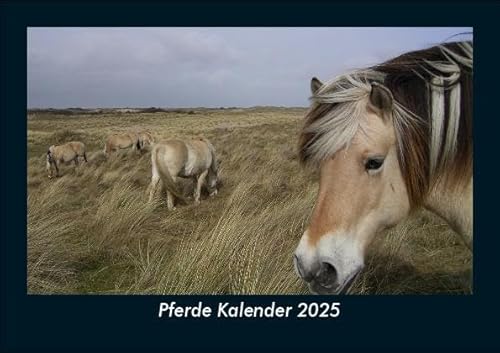 Pferde Kalender 2025 Fotokalender DIN A5: Monatskalender mit Bild-Motiven von Haustieren, Bauernhof, wilden Tieren und Raubtieren Pferde Kalender 2025 Fotokalender DIN A5: Monatskalender mit Bild-Motiven von Haustieren, Bauernhof, wilden Tieren und Raubtieren