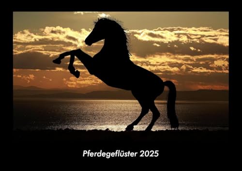 Pferdegeflüster 2025 Fotokalender DIN A3: Monatskalender mit Bild-Motiven von Haustieren, Bauernhof, wilden Tieren und Raubtieren Pferdegeflüster 2025 Fotokalender DIN A3: Monatskalender mit Bild-Motiven von Haustieren, Bauernhof, wilden Tieren und Raubtieren