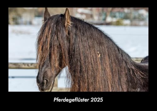 Pferdegeflüster 2025 Fotokalender DIN A3: Monatskalender mit Bild-Motiven von Haustieren, Bauernhof, wilden Tieren und Raubtieren Pferdegeflüster 2025 Fotokalender DIN A3: Monatskalender mit Bild-Motiven von Haustieren, Bauernhof, wilden Tieren und Raubtieren