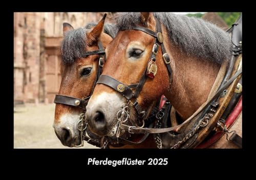 Pferdegeflüster 2025 Fotokalender DIN A3: Monatskalender mit Bild-Motiven von Haustieren, Bauernhof, wilden Tieren und Raubtieren Pferdegeflüster 2025 Fotokalender DIN A3: Monatskalender mit Bild-Motiven von Haustieren, Bauernhof, wilden Tieren und Raubtieren
