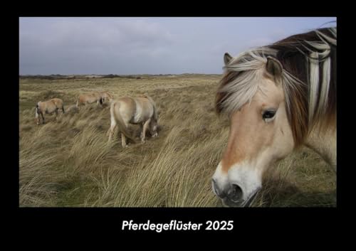 Pferdegeflüster 2025 Fotokalender DIN A3: Monatskalender mit Bild-Motiven von Haustieren, Bauernhof, wilden Tieren und Raubtieren Pferdegeflüster 2025 Fotokalender DIN A3: Monatskalender mit Bild-Motiven von Haustieren, Bauernhof, wilden Tieren und Raubtieren