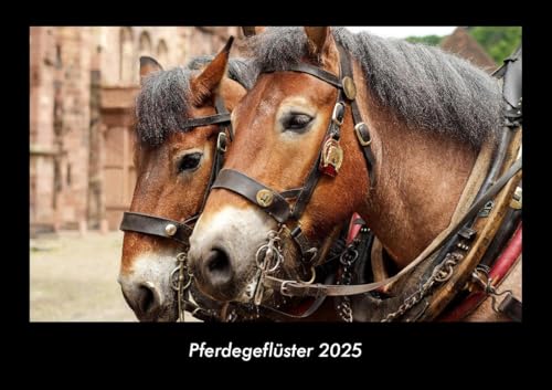 Pferdegeflüster 2025 Fotokalender DIN A3: Monatskalender mit Bild-Motiven von Haustieren, Bauernhof, wilden Tieren und Raubtieren Pferdegeflüster 2025 Fotokalender DIN A3: Monatskalender mit Bild-Motiven von Haustieren, Bauernhof, wilden Tieren und Raubtieren
