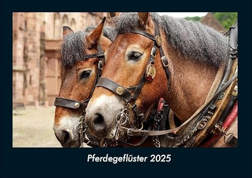 Pferdegeflüster 2025 Fotokalender DIN A4: Monatskalender mit Bild-Motiven von Haustieren, Bauernhof, wilden Tieren und Raubtieren Pferdegeflüster 2025 Fotokalender DIN A4: Monatskalender mit Bild-Motiven von Haustieren, Bauernhof, wilden Tieren und Raubtieren