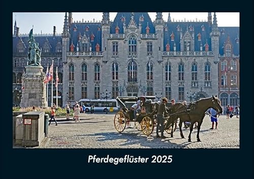 Pferdegeflüster 2025 Fotokalender DIN A4: Monatskalender mit Bild-Motiven von Haustieren, Bauernhof, wilden Tieren und Raubtieren Pferdegeflüster 2025 Fotokalender DIN A4: Monatskalender mit Bild-Motiven von Haustieren, Bauernhof, wilden Tieren und Raubtieren
