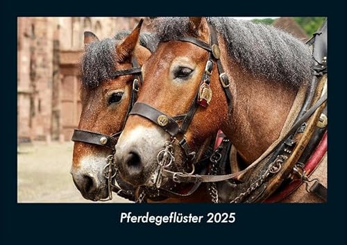 Pferdegeflüster 2025 Fotokalender DIN A4: Monatskalender mit Bild-Motiven von Haustieren, Bauernhof, wilden Tieren und Raubtieren Pferdegeflüster 2025 Fotokalender DIN A4: Monatskalender mit Bild-Motiven von Haustieren, Bauernhof, wilden Tieren und Raubtieren