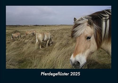 Pferdegeflüster 2025 Fotokalender DIN A4: Monatskalender mit Bild-Motiven von Haustieren, Bauernhof, wilden Tieren und Raubtieren Pferdegeflüster 2025 Fotokalender DIN A4: Monatskalender mit Bild-Motiven von Haustieren, Bauernhof, wilden Tieren und Raubtieren