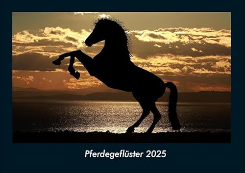Pferdegeflüster 2025 Fotokalender DIN A4: Monatskalender mit Bild-Motiven von Haustieren, Bauernhof, wilden Tieren und Raubtieren Pferdegeflüster 2025 Fotokalender DIN A4: Monatskalender mit Bild-Motiven von Haustieren, Bauernhof, wilden Tieren und Raubtieren