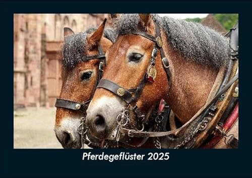 Pferdegeflüster 2025 Fotokalender DIN A5: Monatskalender mit Bild-Motiven von Haustieren, Bauernhof, wilden Tieren und Raubtieren Pferdegeflüster 2025 Fotokalender DIN A5: Monatskalender mit Bild-Motiven von Haustieren, Bauernhof, wilden Tieren und Raubtieren