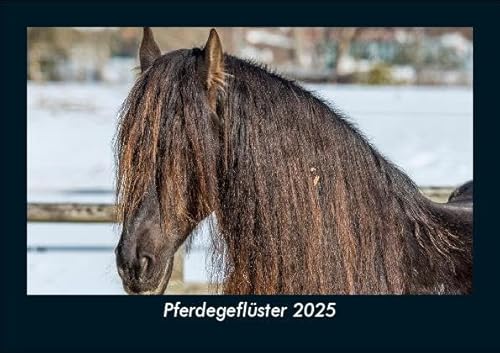 Pferdegeflüster 2025 Fotokalender DIN A5: Monatskalender mit Bild-Motiven von Haustieren, Bauernhof, wilden Tieren und Raubtieren Pferdegeflüster 2025 Fotokalender DIN A5: Monatskalender mit Bild-Motiven von Haustieren, Bauernhof, wilden Tieren und Raubtieren