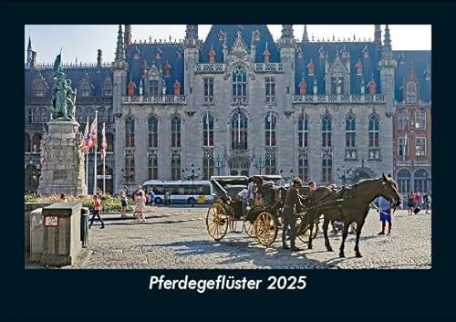 Pferdegeflüster 2025 Fotokalender DIN A5: Monatskalender mit Bild-Motiven von Haustieren, Bauernhof, wilden Tieren und Raubtieren Pferdegeflüster 2025 Fotokalender DIN A5: Monatskalender mit Bild-Motiven von Haustieren, Bauernhof, wilden Tieren und Raubtieren