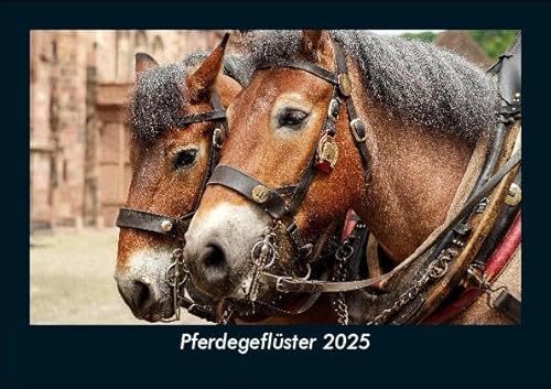 Pferdegeflüster 2025 Fotokalender DIN A5: Monatskalender mit Bild-Motiven von Haustieren, Bauernhof, wilden Tieren und Raubtieren Pferdegeflüster 2025 Fotokalender DIN A5: Monatskalender mit Bild-Motiven von Haustieren, Bauernhof, wilden Tieren und Raubtieren