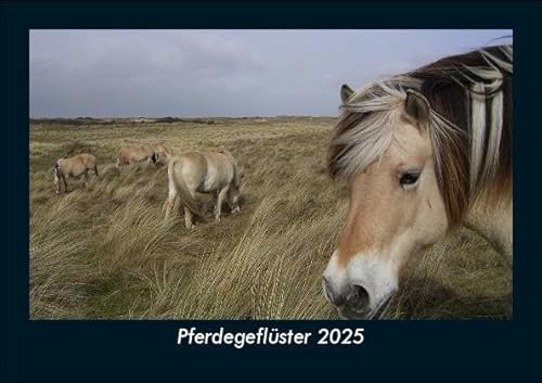 Pferdegeflüster 2025 Fotokalender DIN A5: Monatskalender mit Bild-Motiven von Haustieren, Bauernhof, wilden Tieren und Raubtieren Pferdegeflüster 2025 Fotokalender DIN A5: Monatskalender mit Bild-Motiven von Haustieren, Bauernhof, wilden Tieren und Raubtieren