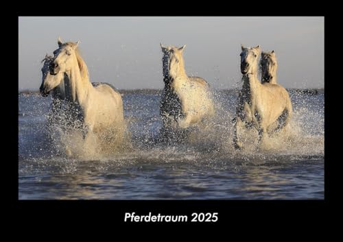 Pferdetraum 2025 Fotokalender DIN A3: Monatskalender mit Bild-Motiven von Haustieren, Bauernhof, wilden Tieren und Raubtieren Pferdetraum 2025 Fotokalender DIN A3: Monatskalender mit Bild-Motiven von Haustieren, Bauernhof, wilden Tieren und Raubtieren
