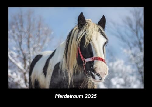 Pferdetraum 2025 Fotokalender DIN A3: Monatskalender mit Bild-Motiven von Haustieren, Bauernhof, wilden Tieren und Raubtieren Pferdetraum 2025 Fotokalender DIN A3: Monatskalender mit Bild-Motiven von Haustieren, Bauernhof, wilden Tieren und Raubtieren