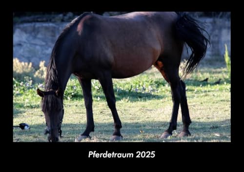 Pferdetraum 2025 Fotokalender DIN A3: Monatskalender mit Bild-Motiven von Haustieren, Bauernhof, wilden Tieren und Raubtieren Pferdetraum 2025 Fotokalender DIN A3: Monatskalender mit Bild-Motiven von Haustieren, Bauernhof, wilden Tieren und Raubtieren