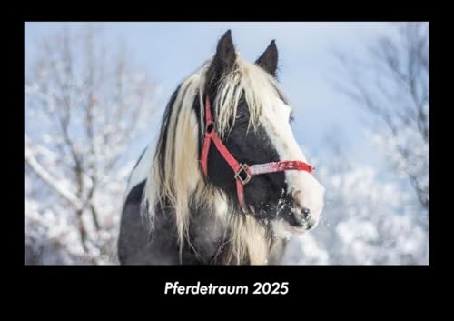 Pferdetraum 2025 Fotokalender DIN A3: Monatskalender mit Bild-Motiven von Haustieren, Bauernhof, wilden Tieren und Raubtieren von Vero Kalender