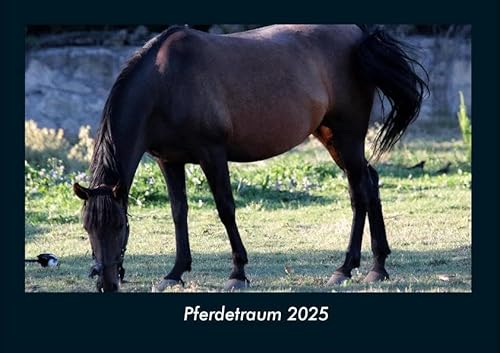 Pferdetraum 2025 Fotokalender DIN A4: Monatskalender mit Bild-Motiven von Haustieren, Bauernhof, wilden Tieren und Raubtieren Pferdetraum 2025 Fotokalender DIN A4: Monatskalender mit Bild-Motiven von Haustieren, Bauernhof, wilden Tieren und Raubtieren