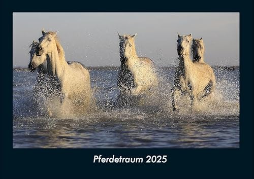 Pferdetraum 2025 Fotokalender DIN A4: Monatskalender mit Bild-Motiven von Haustieren, Bauernhof, wilden Tieren und Raubtieren Pferdetraum 2025 Fotokalender DIN A4: Monatskalender mit Bild-Motiven von Haustieren, Bauernhof, wilden Tieren und Raubtieren
