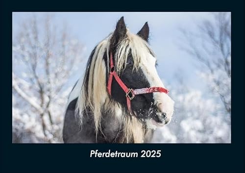 Pferdetraum 2025 Fotokalender DIN A4: Monatskalender mit Bild-Motiven von Haustieren, Bauernhof, wilden Tieren und Raubtieren Pferdetraum 2025 Fotokalender DIN A4: Monatskalender mit Bild-Motiven von Haustieren, Bauernhof, wilden Tieren und Raubtieren