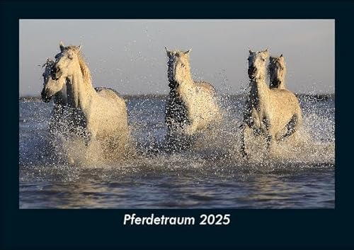 Pferdetraum 2025 Fotokalender DIN A5: Monatskalender mit Bild-Motiven von Haustieren, Bauernhof, wilden Tieren und Raubtieren Pferdetraum 2025 Fotokalender DIN A5: Monatskalender mit Bild-Motiven von Haustieren, Bauernhof, wilden Tieren und Raubtieren