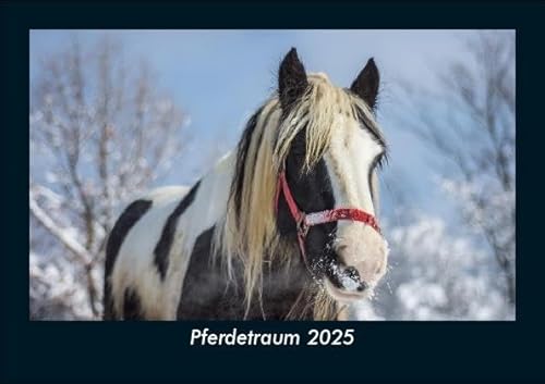 Pferdetraum 2025 Fotokalender DIN A5: Monatskalender mit Bild-Motiven von Haustieren, Bauernhof, wilden Tieren und Raubtieren Pferdetraum 2025 Fotokalender DIN A5: Monatskalender mit Bild-Motiven von Haustieren, Bauernhof, wilden Tieren und Raubtieren