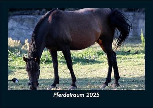 Pferdetraum 2025 Fotokalender DIN A5: Monatskalender mit Bild-Motiven von Haustieren, Bauernhof, wilden Tieren und Raubtieren Pferdetraum 2025 Fotokalender DIN A5: Monatskalender mit Bild-Motiven von Haustieren, Bauernhof, wilden Tieren und Raubtieren