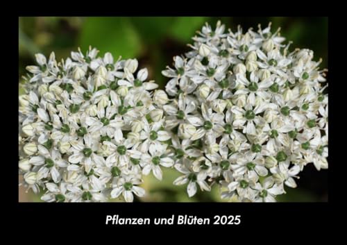 Pflanzen und Blüten 2025 Fotokalender DIN A3: Monatskalender mit Bild-Motiven aus Fauna und Flora, Natur, Blumen und Pflanzen Pflanzen und Blüten 2025 Fotokalender DIN A3: Monatskalender mit Bild-Motiven aus Fauna und Flora, Natur, Blumen und Pflanzen