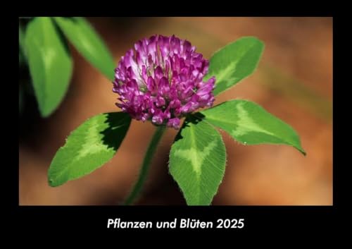 Pflanzen und Blüten 2025 Fotokalender DIN A3: Monatskalender mit Bild-Motiven aus Fauna und Flora, Natur, Blumen und Pflanzen Pflanzen und Blüten 2025 Fotokalender DIN A3: Monatskalender mit Bild-Motiven aus Fauna und Flora, Natur, Blumen und Pflanzen