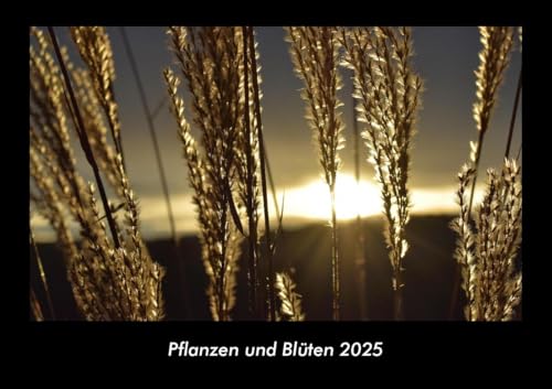 Pflanzen und Blüten 2025 Fotokalender DIN A3: Monatskalender mit Bild-Motiven aus Fauna und Flora, Natur, Blumen und Pflanzen Pflanzen und Blüten 2025 Fotokalender DIN A3: Monatskalender mit Bild-Motiven aus Fauna und Flora, Natur, Blumen und Pflanzen