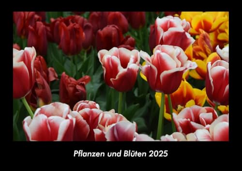 Pflanzen und Blüten 2025 Fotokalender DIN A3: Monatskalender mit Bild-Motiven aus Fauna und Flora, Natur, Blumen und Pflanzen Pflanzen und Blüten 2025 Fotokalender DIN A3: Monatskalender mit Bild-Motiven aus Fauna und Flora, Natur, Blumen und Pflanzen