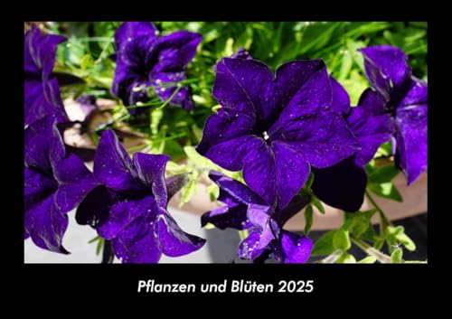 Pflanzen und Blüten 2025 Fotokalender DIN A3: Monatskalender mit Bild-Motiven aus Fauna und Flora, Natur, Blumen und Pflanzen Pflanzen und Blüten 2025 Fotokalender DIN A3: Monatskalender mit Bild-Motiven aus Fauna und Flora, Natur, Blumen und Pflanzen