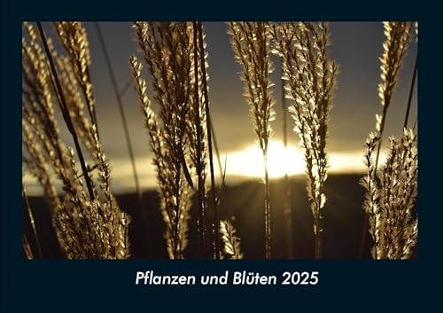 Pflanzen und Blüten 2025 Fotokalender DIN A4: Monatskalender mit Bild-Motiven aus Fauna und Flora, Natur, Blumen und Pflanzen Pflanzen und Blüten 2025 Fotokalender DIN A4: Monatskalender mit Bild-Motiven aus Fauna und Flora, Natur, Blumen und Pflanzen