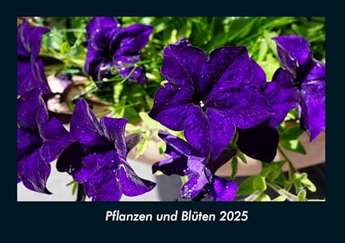 Pflanzen und Blüten 2025 Fotokalender DIN A4: Monatskalender mit Bild-Motiven aus Fauna und Flora, Natur, Blumen und Pflanzen Pflanzen und Blüten 2025 Fotokalender DIN A4: Monatskalender mit Bild-Motiven aus Fauna und Flora, Natur, Blumen und Pflanzen