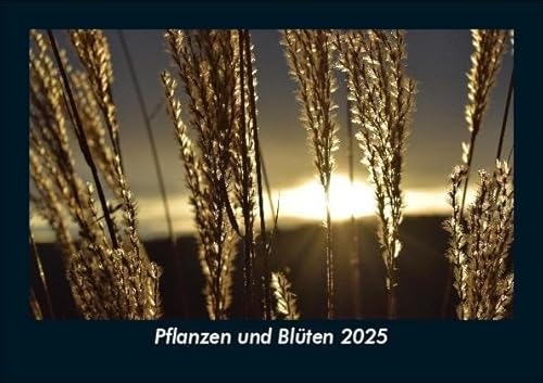 Pflanzen und Blüten 2025 Fotokalender DIN A5: Monatskalender mit Bild-Motiven aus Fauna und Flora, Natur, Blumen und Pflanzen Pflanzen und Blüten 2025 Fotokalender DIN A5: Monatskalender mit Bild-Motiven aus Fauna und Flora, Natur, Blumen und Pflanzen