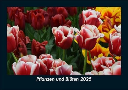 Pflanzen und Blüten 2025 Fotokalender DIN A5: Monatskalender mit Bild-Motiven aus Fauna und Flora, Natur, Blumen und Pflanzen Pflanzen und Blüten 2025 Fotokalender DIN A5: Monatskalender mit Bild-Motiven aus Fauna und Flora, Natur, Blumen und Pflanzen