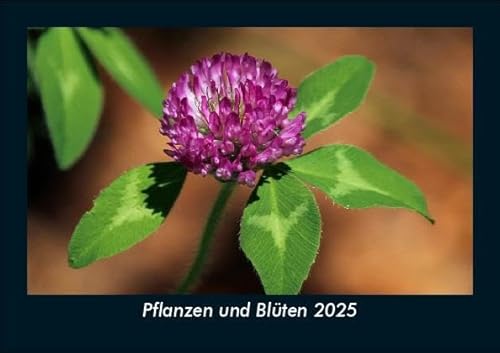 Pflanzen und Blüten 2025 Fotokalender DIN A5: Monatskalender mit Bild-Motiven aus Fauna und Flora, Natur, Blumen und Pflanzen Pflanzen und Blüten 2025 Fotokalender DIN A5: Monatskalender mit Bild-Motiven aus Fauna und Flora, Natur, Blumen und Pflanzen