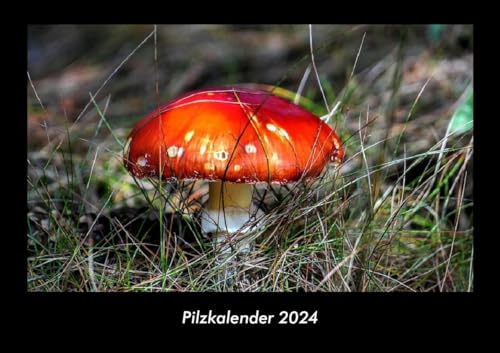 Pilzkalender 2024 Fotokalender DIN A3: Monatskalender mit Bild-Motiven aus Fauna und Flora, Natur, Blumen und Pflanzen Pilzkalender 2024 Fotokalender DIN A3: Monatskalender mit Bild-Motiven aus Fauna und Flora, Natur, Blumen und Pflanzen