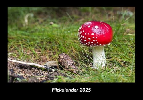 Pilzkalender 2025 Fotokalender DIN A3: Monatskalender mit Bild-Motiven aus Fauna und Flora, Natur, Blumen und Pflanzen Pilzkalender 2025 Fotokalender DIN A3: Monatskalender mit Bild-Motiven aus Fauna und Flora, Natur, Blumen und Pflanzen