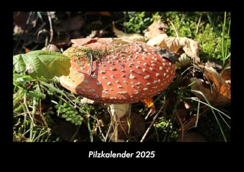 Pilzkalender 2025 Fotokalender DIN A3: Monatskalender mit Bild-Motiven aus Fauna und Flora, Natur, Blumen und Pflanzen Pilzkalender 2025 Fotokalender DIN A3: Monatskalender mit Bild-Motiven aus Fauna und Flora, Natur, Blumen und Pflanzen
