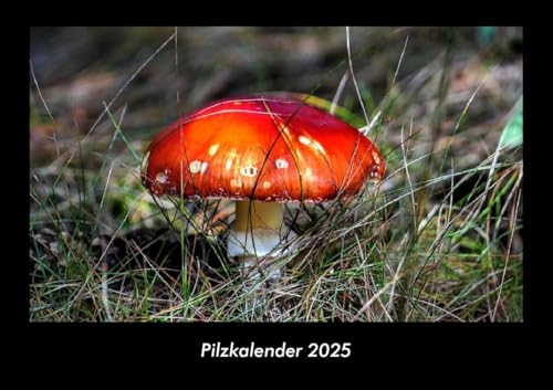 Pilzkalender 2025 Fotokalender DIN A3: Monatskalender mit Bild-Motiven aus Fauna und Flora, Natur, Blumen und Pflanzen Pilzkalender 2025 Fotokalender DIN A3: Monatskalender mit Bild-Motiven aus Fauna und Flora, Natur, Blumen und Pflanzen
