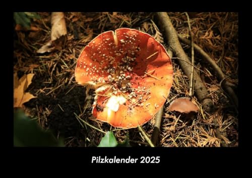 Pilzkalender 2025 Fotokalender DIN A3: Monatskalender mit Bild-Motiven aus Fauna und Flora, Natur, Blumen und Pflanzen Pilzkalender 2025 Fotokalender DIN A3: Monatskalender mit Bild-Motiven aus Fauna und Flora, Natur, Blumen und Pflanzen